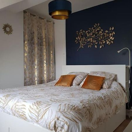Appartement Lumineux Et Moderne Le Mans Bagian luar foto
